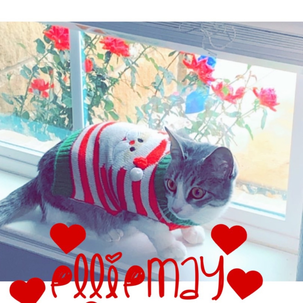 Meet miss Elliemay